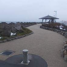 公園の全体の様子