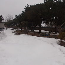 3月下旬でもこの状態でした・・・