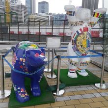 遊歩道にありました