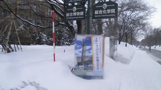 イザベラ・バードの旅の世界展をやっている