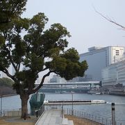 水都大阪のスマートな姿の案内船・アクアライナー