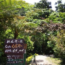 案内板は小さいので 見落とさないように