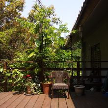 山のなかなので 景色きれい！