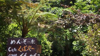 山の中のカフェ