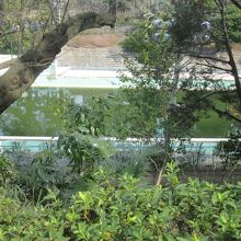 眼下にはプール