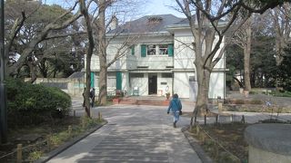 見所が多いです