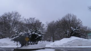 雪にほとんど埋もれていました