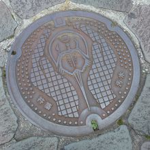 志保屋の坂にあった下水道の蓋には守江湾で生息するカブトガニが