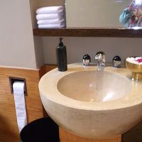 hanagaari,taorugaaru toire