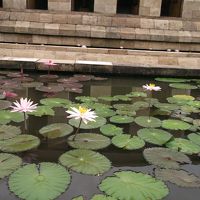 tatemonono mawariha ike de sui