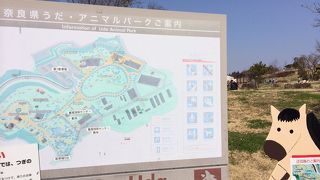 のんびりしてます。羊もいました♪