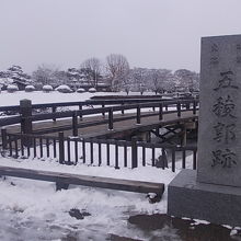 入口付近は歩きやすいので騙されやすいかも…