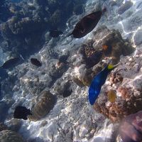 部屋のすぐ下の海