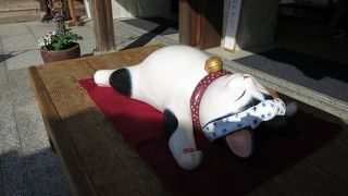 いつ来てもにぎやか