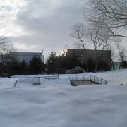 まだまだ雪深い３月の大友公園
