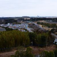 部屋によっては、空港方向が見られます。