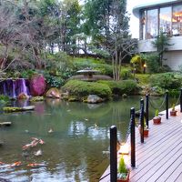 ホテルの日本庭園。