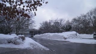 周辺にはまだ雪が積もっていました