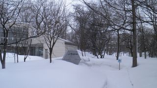 自然の雪がどっさり