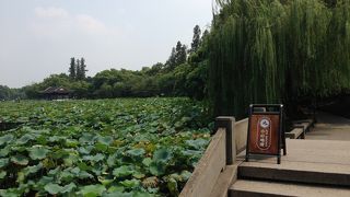 西湖めぐりのスタートで行きました