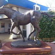 地方競馬衰退の一因を見た