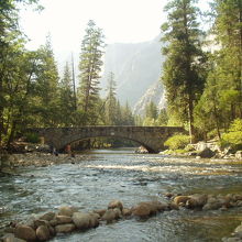 キャンプ場の裏を流れる川