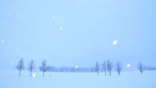 神秘的な雪景色