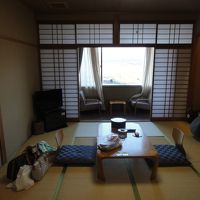 可もなく不可も無く