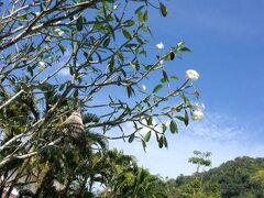Bamboo Beach Hotel 写真