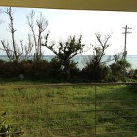 ベランダからの眺め。海はちょっと離れています。