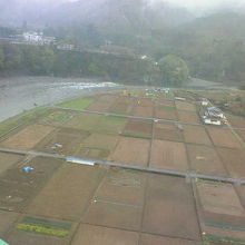 春先は枯れ山でちょっと寂しげでした。