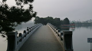 広い公園です！