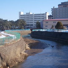すぐ横にこちらの鮫川が流れています