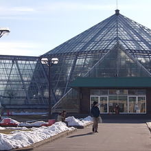 温室エリアの外観