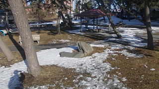 松林に囲まれた独特の風情がある公園でした