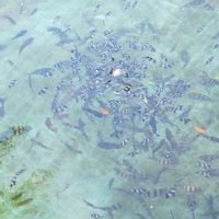 フィーディングタイム