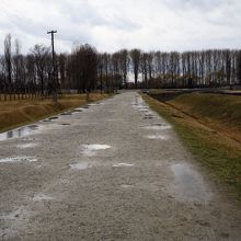 死の宣告を受けた者は、この先のガス室へ送られた。