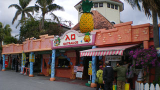 土産物コーナーが充実