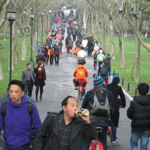 大勢の人が歩いています。