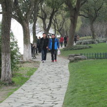 蘇堤の両側には遊歩道があります。