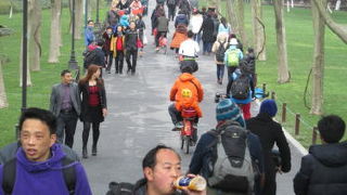 長さは2.8キロで、西湖の南北を貫いています。春の柳の芽が吹くのが見所です。