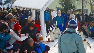 大人も楽しめる