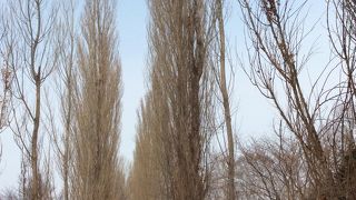 除雪されていない