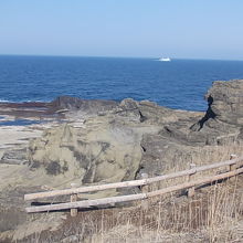 運が良ければ、奥尻島とを結ぶフェリーの航行も見られます