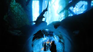 外からでも見れるけど・・・