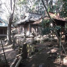 鬱蒼とした境内