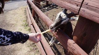 久住の定番！お土産はここだね♪