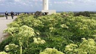 灯台の上からは絶景が広がる