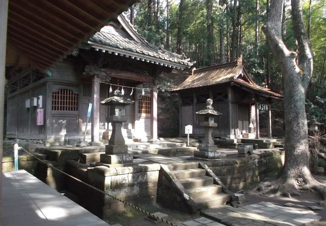 熊野神社 鎌倉市大船 クチコミ アクセス 営業時間 鎌倉 フォートラベル 熊野神社 鎌倉市大船 クチコミ アクセス 営業時間 鎌倉 フォートラベル