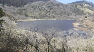 国道１号線沿いにある小さな池